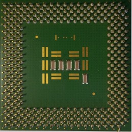 Green or brown plastic processor